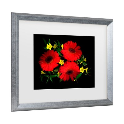 Trademark Fine Art -Susan S. Barmon 'Gerbera Daisy And Carolina Jasmine' Matted Framed Art