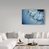 Trademark Fine Art -Beata Czyzowska Young 'Blues in the Evening' Canvas Art - 3 of 3