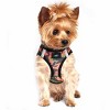 Doggie Design American River Dog Harness Camouflage Collection-Orange - 3 of 3