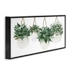 Stupell Industries Hanging Planters House Plants, 24" x 10" - 3 of 4