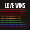 Adult Design By Humans Pride Love Wins Ink Stripes By Belugastore T-Shirt - 2 of 2