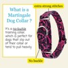 Country Brook Petz Martingale Dog Collar - Attitude Collection - 4 of 4