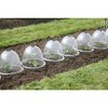 Tierra Garden Victorian Bell Cloches 3pk - 3 of 4