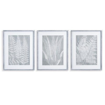 Plum & Post Fern Frond Prints, Set Of 3