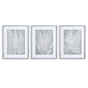 Plum & Post Fern Frond Prints, Set Of 3 - 1 of 4