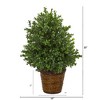 Nearly Natural 23-in Sweet Grass Artificial Plant in Basket (Indoor/Outdoor) - 3 of 3