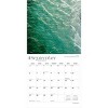 BrownTrout 2026 Florida Nature 12"x24" Hanging Square Wall Calendar Plastic-Free - 4 of 4