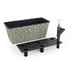 Okak Vertical Succulent & Orchid Pots with Drainage Holes Space Saving Planters for Indoor/Outdoor, 2 Pack(S+M) - 2 of 4