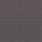 tampa bay buccaneers