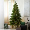 Nearly Natural 7.5-ft Pre-Lit Artificial California Spruce Christmas Tree with 1000 Color Changing LED Lights - 4 of 4