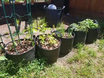 Gardener's Best Potato Grow Bag - Black : Target