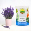 Soil Sunrise Lavender Potting Soil Mix, Container Gardening Blend for Herb Plants - image 2 of 4