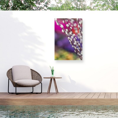 Trademark Fine Art - Jenny Rainbow Fine Art Spring Willow Branch Matted Framed Art