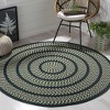 Braided BRD401 Hand Woven Area Rug  - Safavieh - 2 of 3