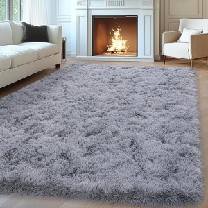 Area Rugs for Living Room Bedroom, Non-Slip Fluffy Soft Shag Carpet for Kids Home Dorm Decor - 1 of 4