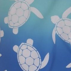 blue - turtle