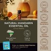 Gya Labs Mandarin Essential Oil 0.34 Fl Oz 100% Pure Natural Fresh Citrusy Scent - 4 of 4