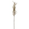 Flocked Pampas Grass Spray Christmas Decor (Set of 4) 31 Inch for Home Floral Arrangements By Melrose - 2 of 3