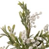 Northlight 2' Potted White Berry and Frosted Pine Christmas Tree, Unlit - 2 of 4