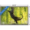 Trends International The Comedy Wildlife Photography Awards: Otter Kwek - Ballerina Framed Wall Poster Prints - 3 of 4