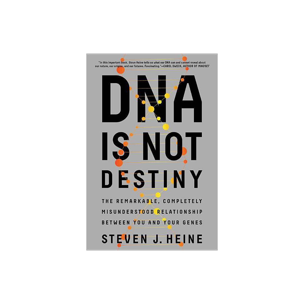 ISBN 9780393355802 product image for DNA Is Not Destiny - by Steven J Heine (Paperback) | upcitemdb.com