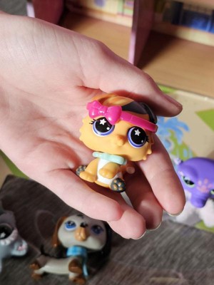 Guest review image 3 of 5, zoom in