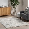 Nuloom Unity High-Low Snowflake Tasseled Indoor Area Rug, 4' x 6', Light Grey - 2 of 4