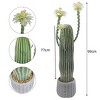 Faux Cactus Potted Plant Faux with Planter Realistic for Home Garden Office Indoor Outdoor Decoration Artificial Plant - 3 of 4