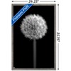 Trends International Tom Quartermaine - Black and White Dandelion Framed Wall Poster Prints - 3 of 4