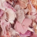 ivory/pink