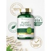 Carlyle Plant Enzymes with Protease, Papain, Lactase and Bromelain | 250 Capsules - 4 of 4