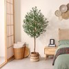 DR.Planzen 5/6/7FT Single-Trunk Artificial Olive Tree with White Planter, Faux Olive Plant for Indoor & Outdoor Home Decor - 3 of 4