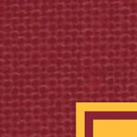 minnesota golden gophers