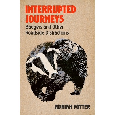 Interrupted Journeys - by  Adrian Potter (Hardcover)