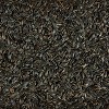 Kaytee Sunflower Seed Bird Food - 10lb. - image 4 of 4