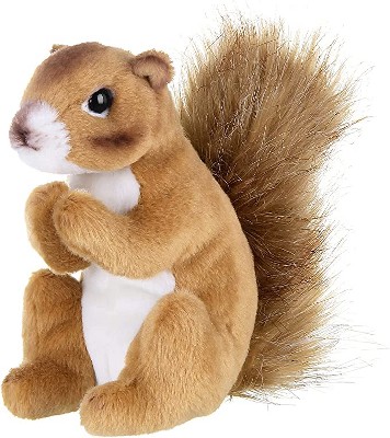 Plush squirrel new arrivals