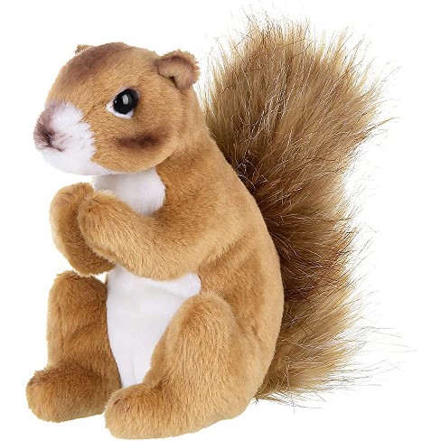 Baby squirrel deals stuffed animal