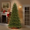 National Tree Company 7.5' PreLit Feel Real Northern Fraser Hinged Tree with 800 Clear Lights 3011 Tips - 2 of 3