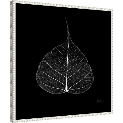 Amanti Art Minimalist Leaf on Black I by Patricia Pinto Canvas Wall Art Print Framed 22 x 22-in.