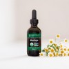 Global Healing Moringa for Energy and Wellness (2 Oz) - 4 of 4