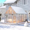 GustoWave 6x9 Ft Aluminum-Framed Polycarbonate Greenhouse Kit - 4 of 4