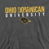 Ohio Dominican University Official Stacked Adult Pull-Over Hoodie - 2 of 4