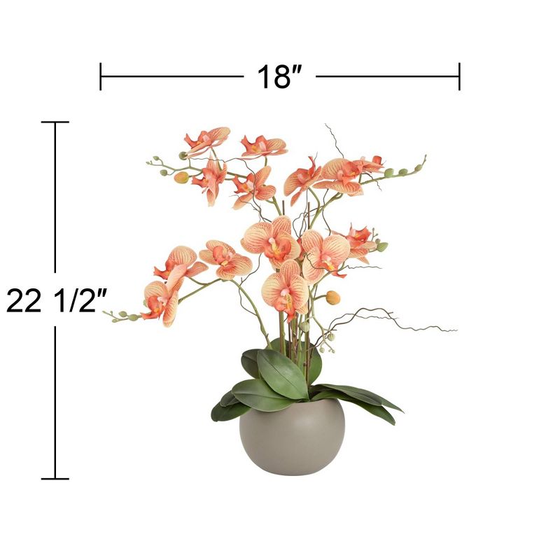 Studio 55D Orange Orchid 22 1/2" High Faux Floral in Gray Pot, 4 of 7