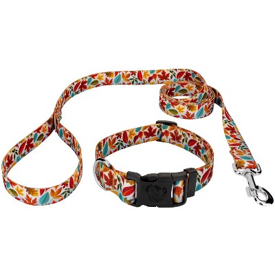 Country Brook Petz Deluxe Brisk Autumn Dog Collar And Leash (1 Inch ...