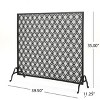 VYNXARIA Single Panel Iron Fire Screen,with a chic, minimalistic aesthetic and functionality in mind,Black - 3 of 4