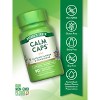 Nature's Truth  Calm Caps with Passion Flower and Chamomile | 90 Capsules - 3 of 4