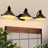 Dovelina Metal Vanity Mirror Lights Wall Light - 3 Lights - 2 of 4