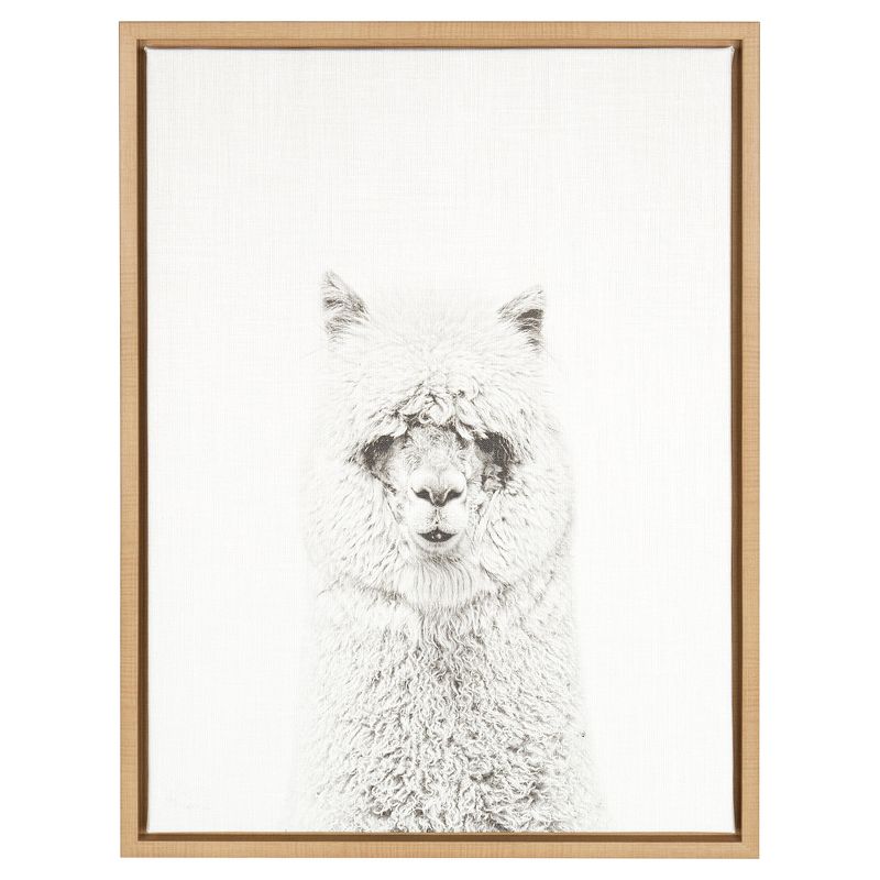 24" x 18" Hairy Alpaca Framed Canvas Art - Uniek, 1 of 6