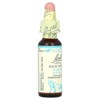 Bach Original Flower Remedies, Rock Water, 0.35 fl oz (10 ml) - 4 of 4