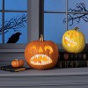 10.5" Scary Push in Teeth Carving Halloween Decorative Prop Kit White - Hyde and EEK! Boutique™ - 2 of 3